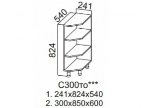 С300то Стол-рабочий 300 (торцевой открытый) в Североуральске - severouralsk.magazin-mebel74.ru | фото