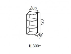 Ш300т/720 Шкаф навесной 300/720 (торцевой) в Североуральске - severouralsk.magazin-mebel74.ru | фото