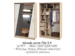 шкаф-купе ПШ-2.9 1500 Норд Белый жемчуг 1500 в Североуральске - severouralsk.magazin-mebel74.ru | фото