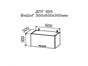 Шкаф верхний ДПГ500 горизонтальный в Североуральске - severouralsk.magazin-mebel74.ru | фото