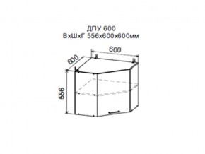 Шкаф верхний ДПУ600 угловой в Североуральске - severouralsk.magazin-mebel74.ru | фото